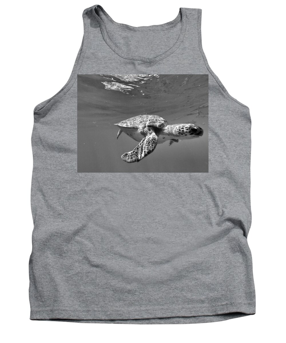 Sea Turtle Tank Top featuring the photograph Hanu by Devin Wilson
