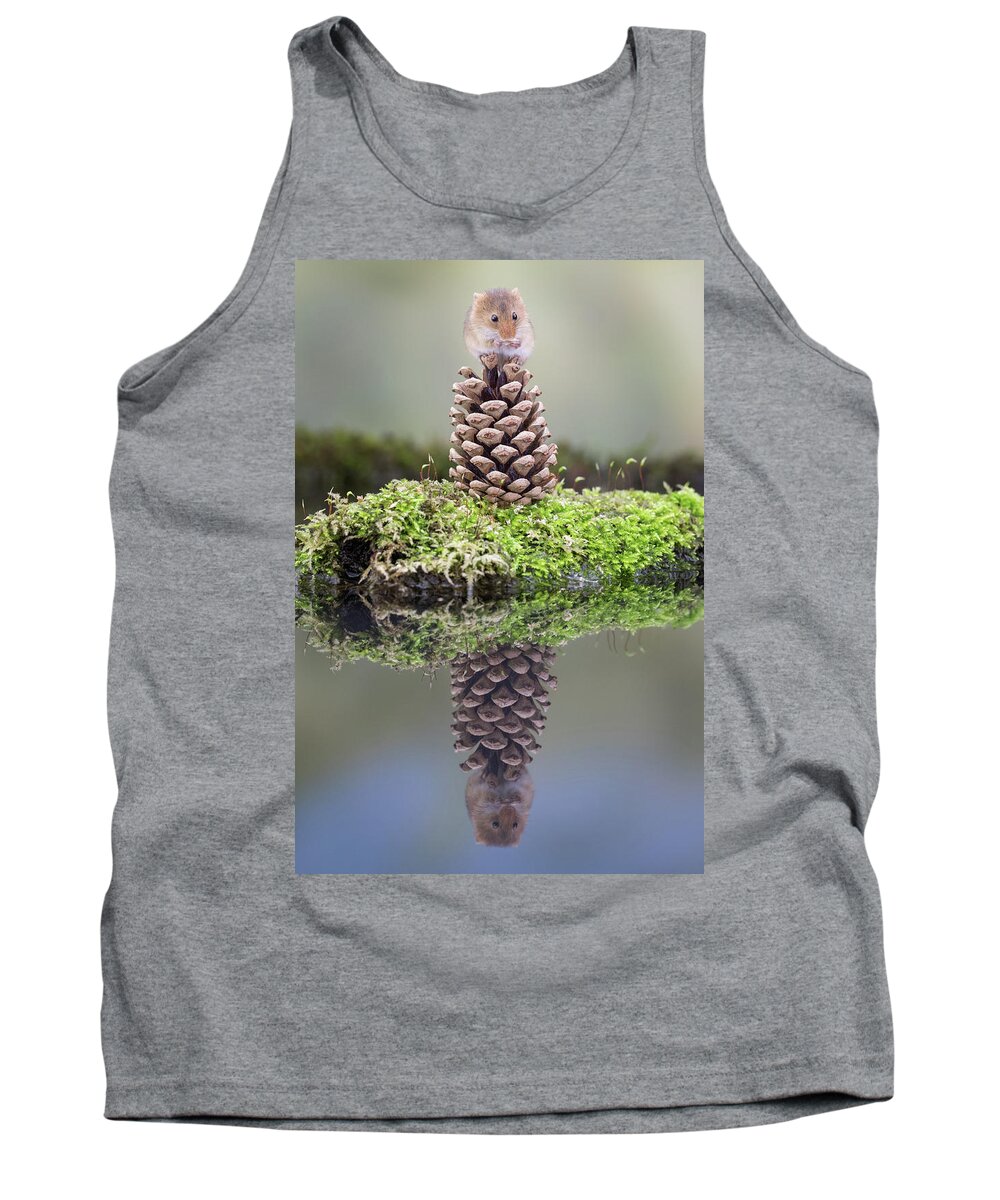 Harvestmouse Tank Top featuring the photograph Harvest mouse on a pine cone by Erika Valkovicova