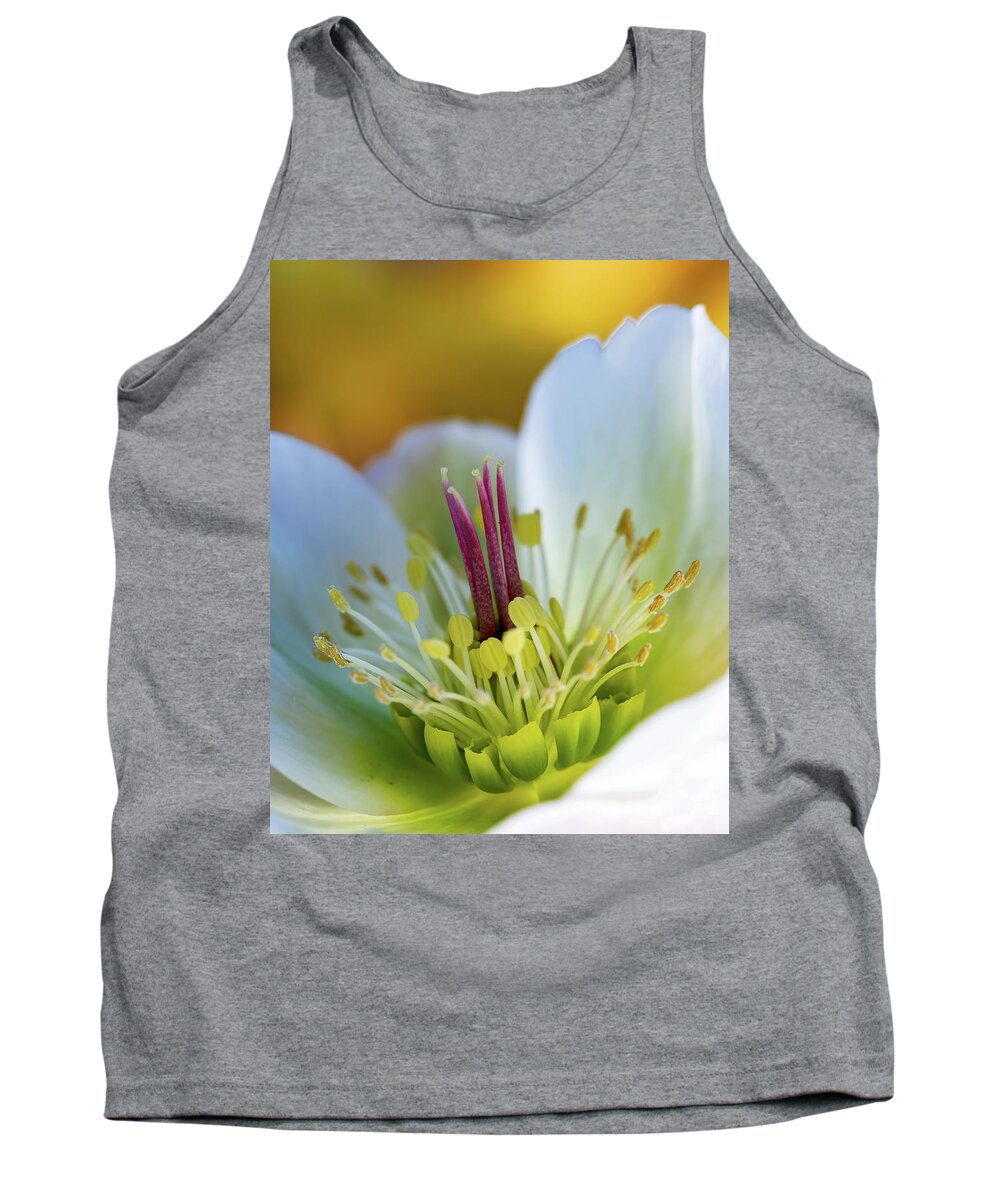 Flower Tank Top featuring the photograph Hellebores Center by Rebecca Cozart