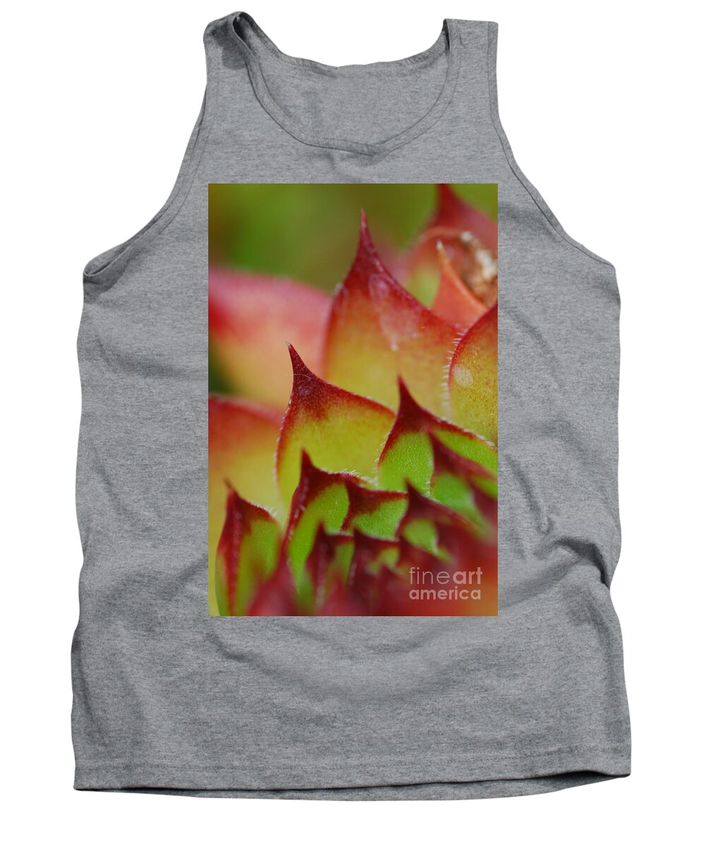 Hens And Chicks Tank Top featuring the photograph Hens And Chicks #10 by Stephanie Gambini