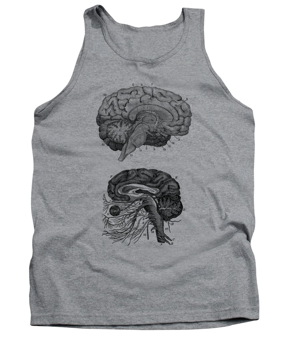 Brain Tank Top featuring the drawing Human Brain - Central Nervous System - Vintage Anatomy Print 2 by Vintage Anatomy Prints