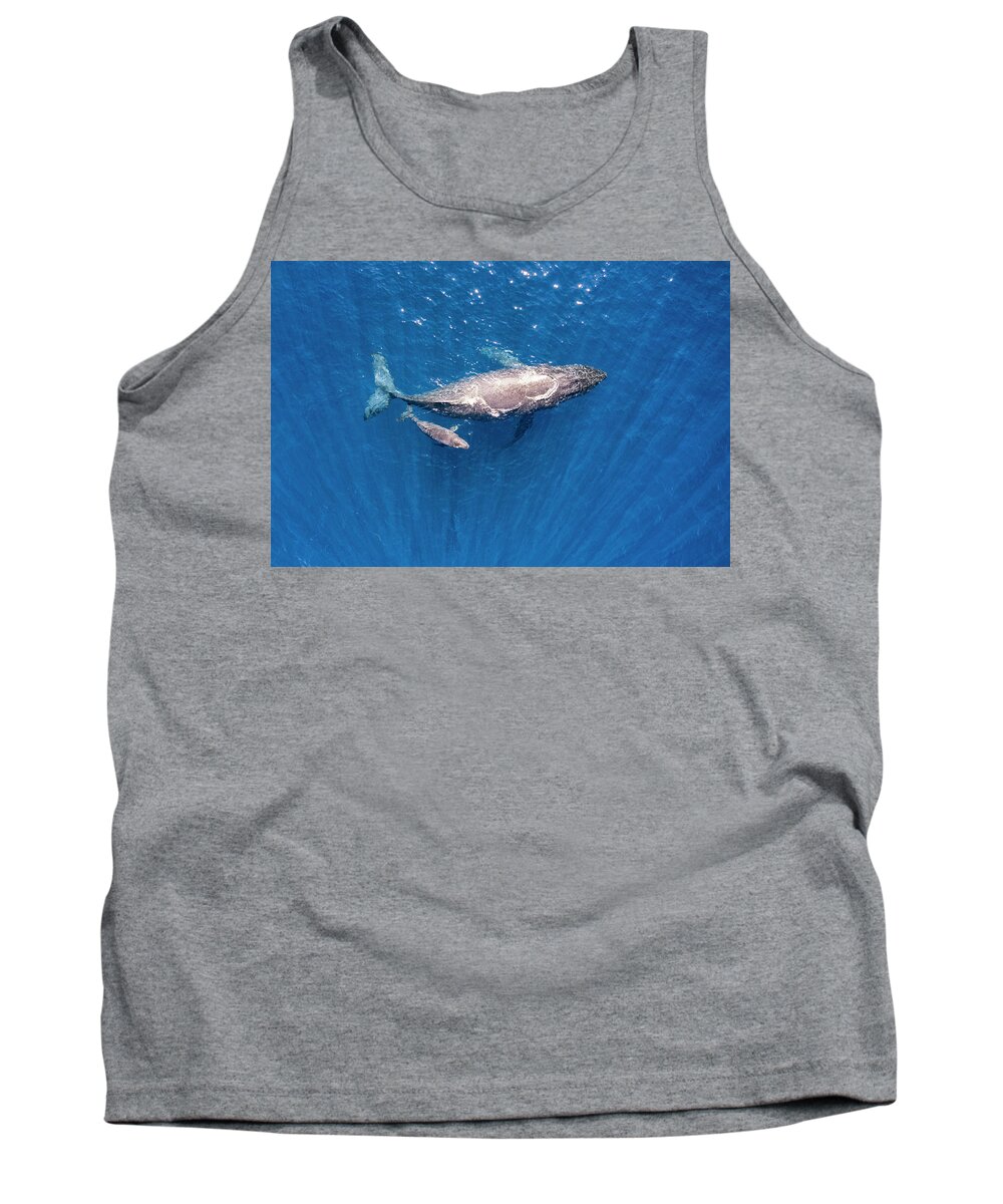 Humpback Tank Top featuring the photograph Humpback Whales Relaxing by Christopher Johnson