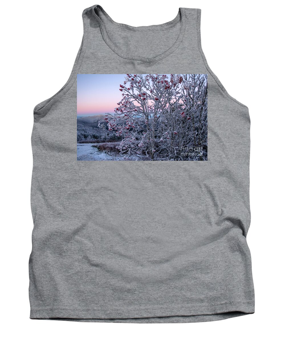 Dawn Tank Top featuring the photograph Icy Dawn from Mount Mitchel by Jane Axman