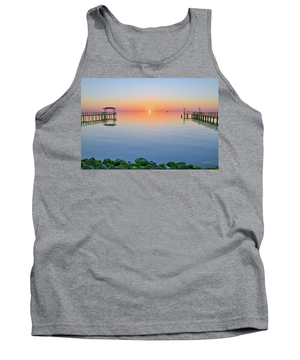 Aransas Tank Top featuring the photograph In Between by Christopher Rice