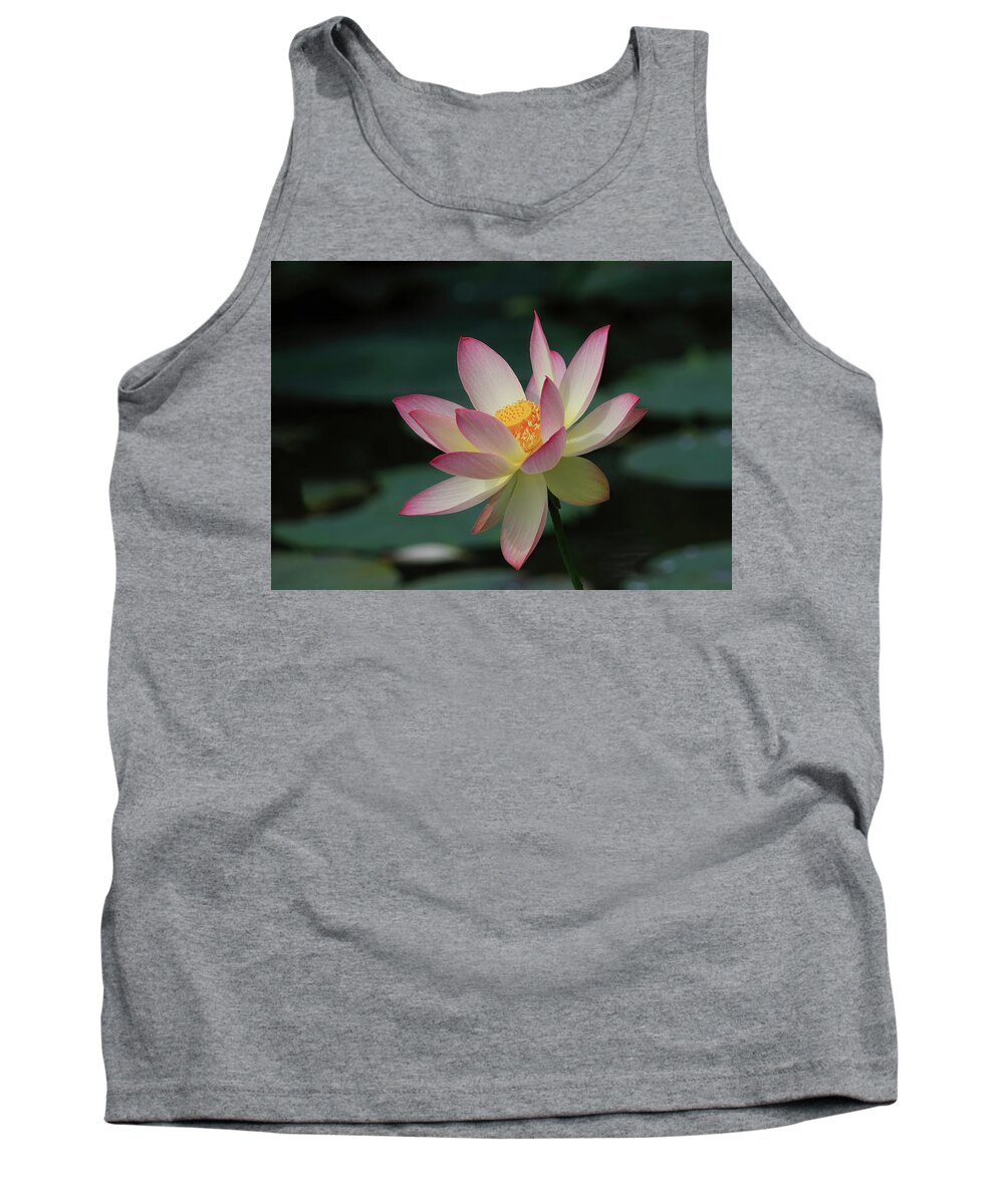Indian Lotus Tank Top featuring the photograph Indian Lotus Flower by Shixing Wen