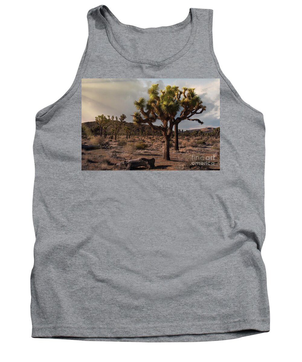 Landscape Tank Top featuring the photograph Joshua Tree Sunset by Sandra Bronstein