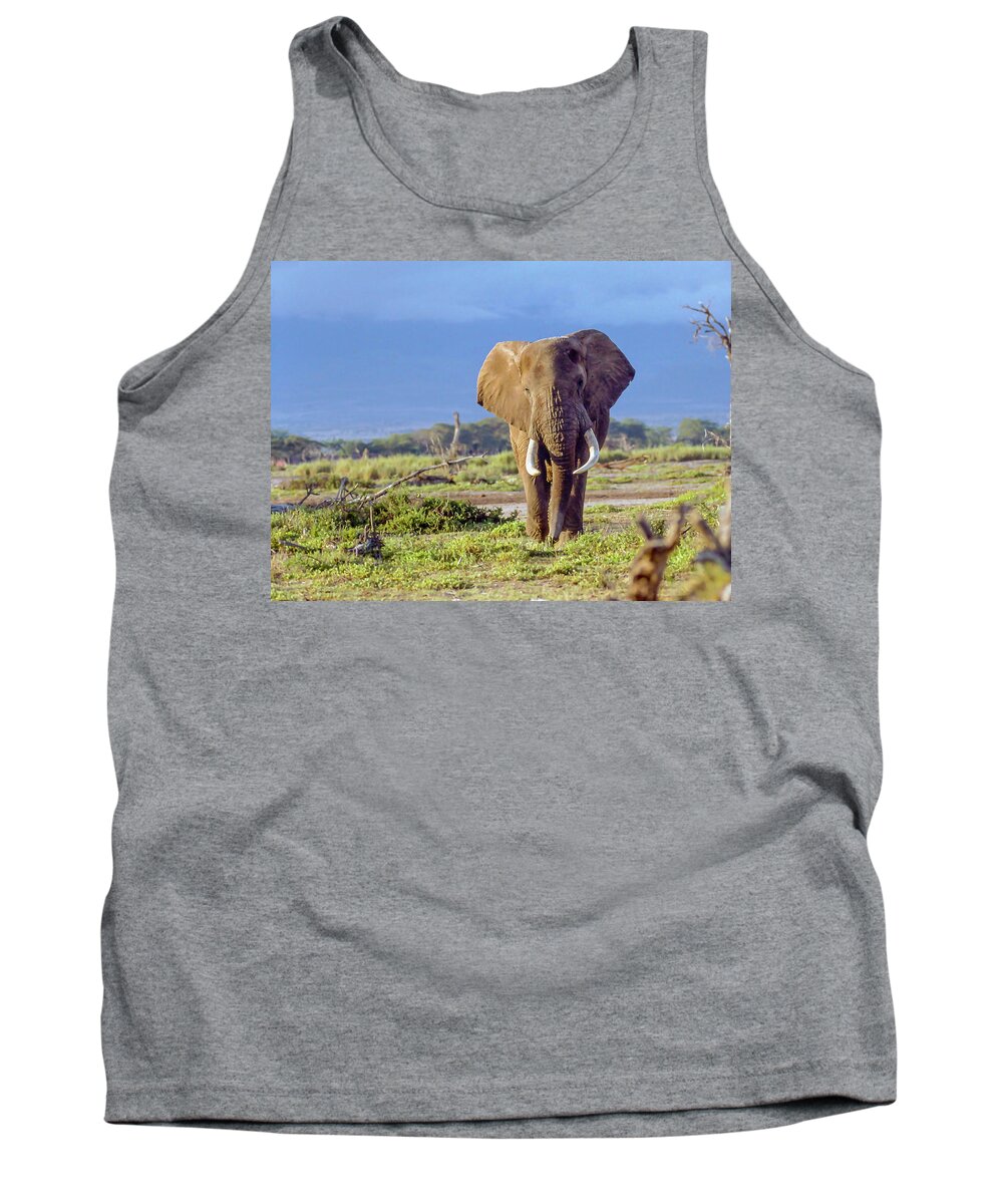 Kenya Tank Top featuring the photograph Kenya Bull Elephant by Phil And Karen Rispin