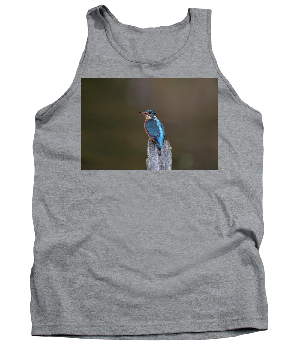 Kingfisher Tank Top featuring the photograph Kingfisher Looks Back by Pete Walkden