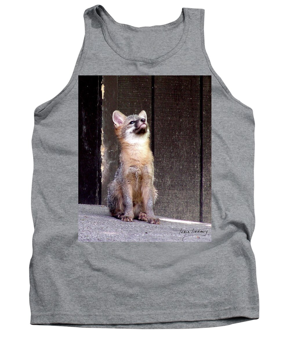 Kit Fox Tank Top featuring the photograph Kit Fox11 by Torie Tiffany