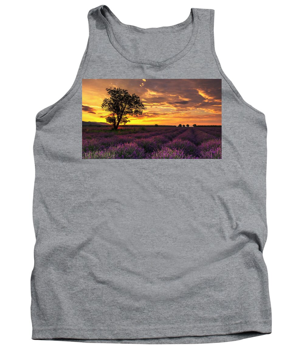 Bulgaria Tank Top featuring the photograph Lavender Sunrise by Evgeni Dinev