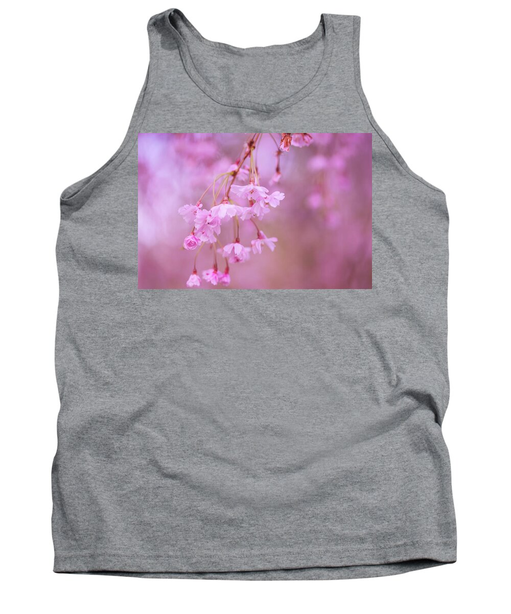 Cherry Blossoms Tank Top featuring the photograph Leftovers of spring by Kunal Mehra
