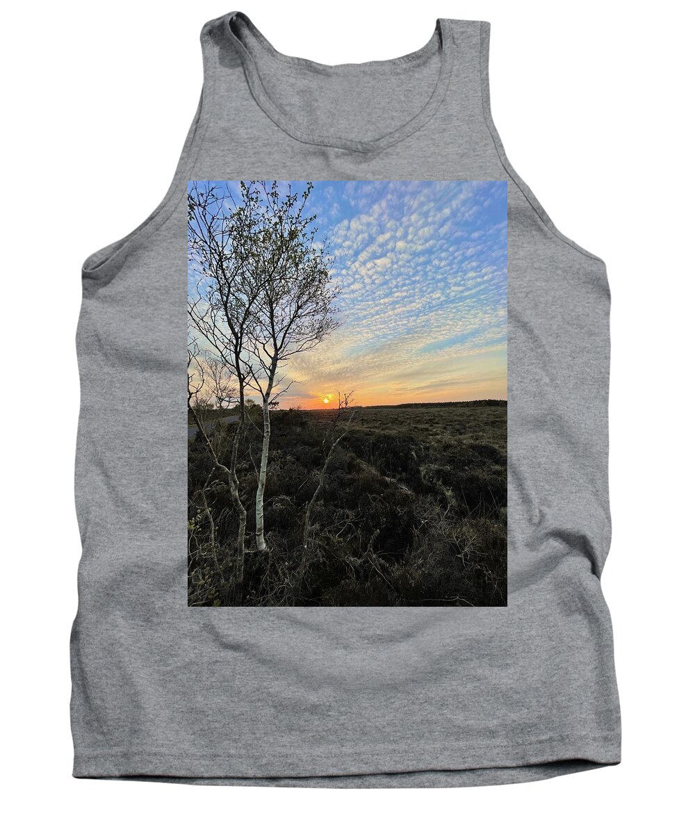 Sunset Bog Tank Top featuring the photograph Life is A Birch and So is the Sundown by Six Months Of Walking