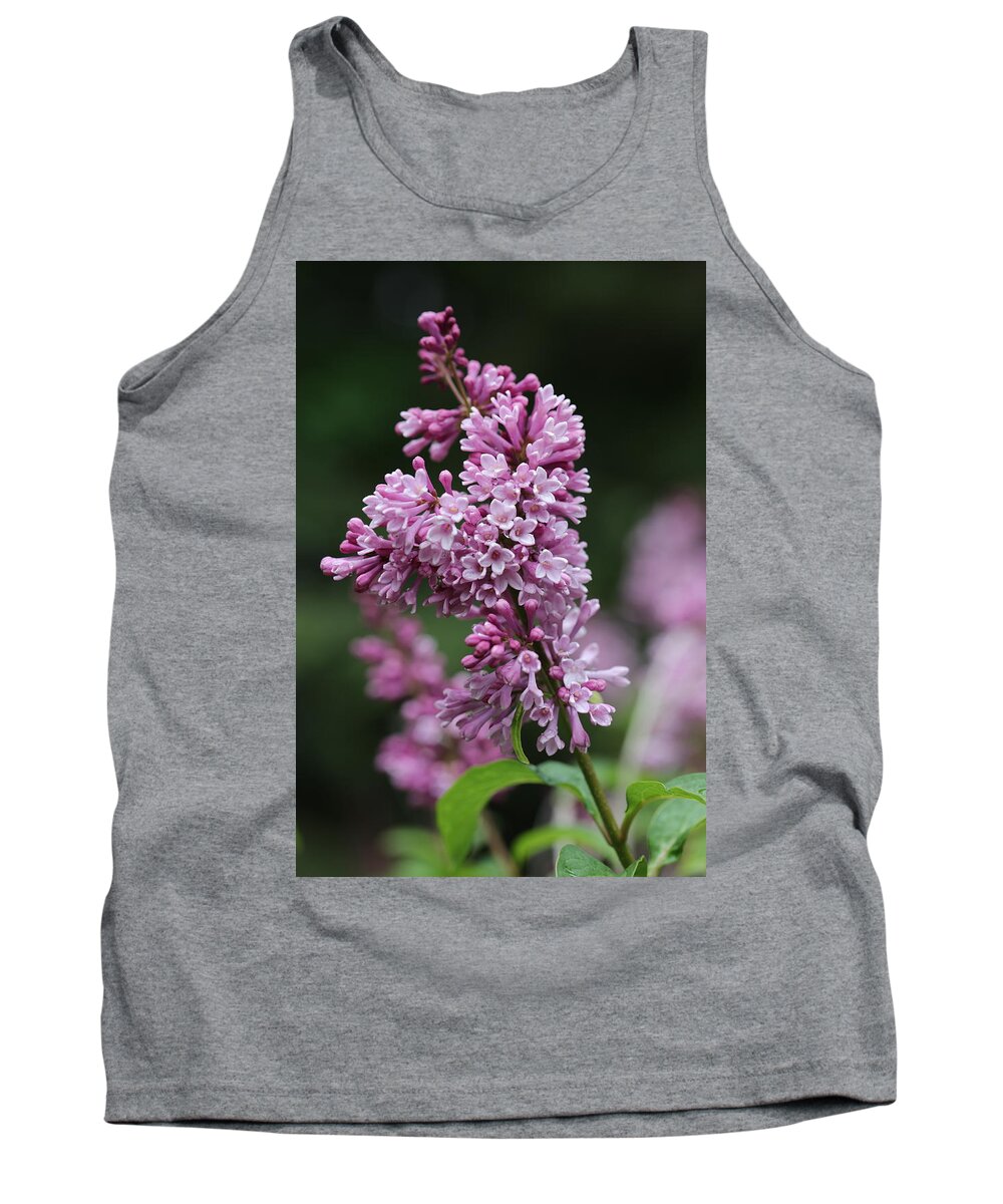Shrub Tank Top featuring the photograph Lilac by Tammy Pool