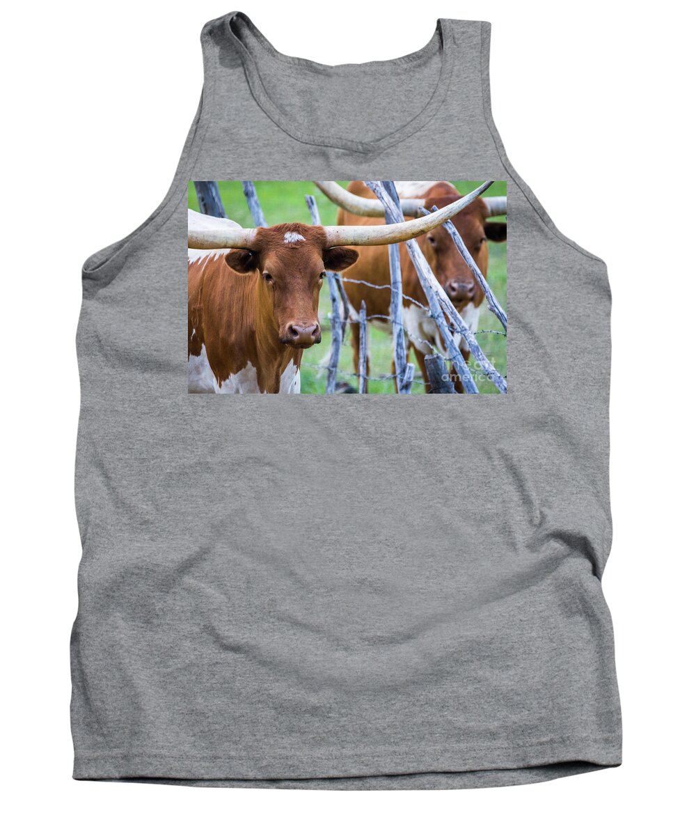 Longhorn Tank Top featuring the photograph Longhorn #2 by Vincent Bonafede
