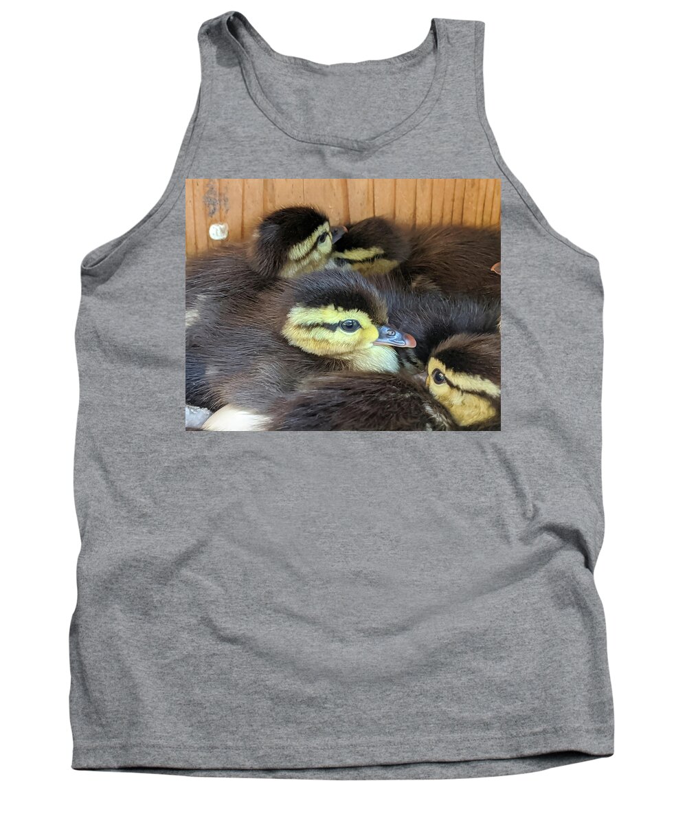 Ducklings Tank Top featuring the photograph Look Alikes by Jerry Griffin