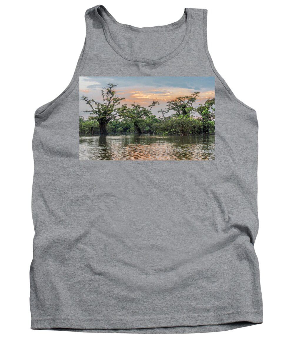 Amazon Tank Top featuring the photograph Macrolobium trees Laguna Grande Cuyabeno and Cocoi heron by Henri Leduc