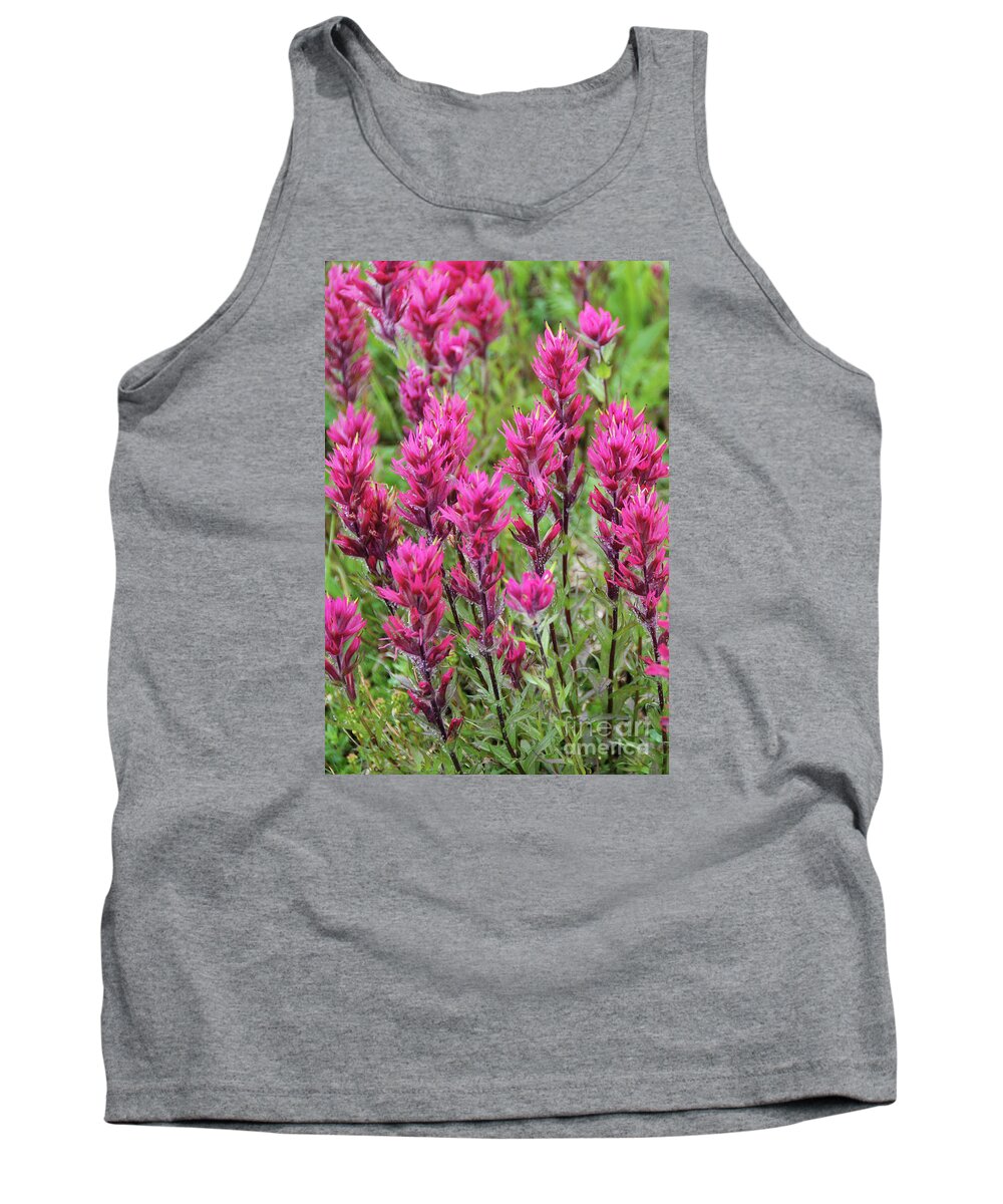 Bloom Tank Top featuring the photograph Magenta Paintbrush at Mount Rainier National Park by Nancy Gleason