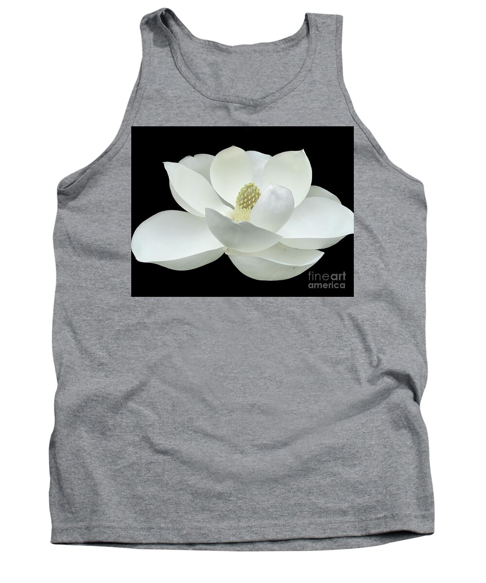 Magnolia Tank Top featuring the photograph Magnolia Flower on Black by Catherine Wilson