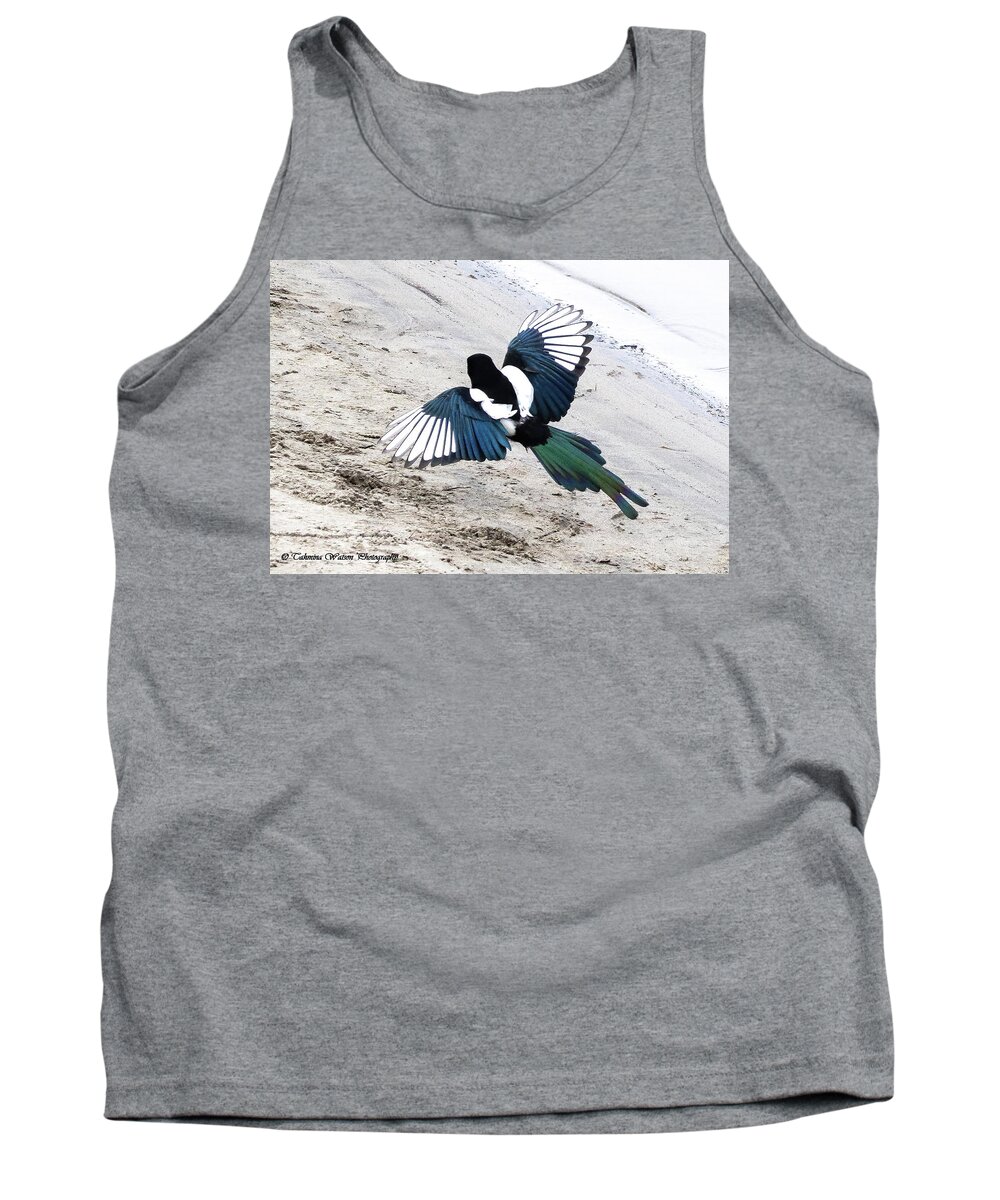 Yellow-billed Magpie Tank Top featuring the photograph Magpie in flight by Tahmina Watson