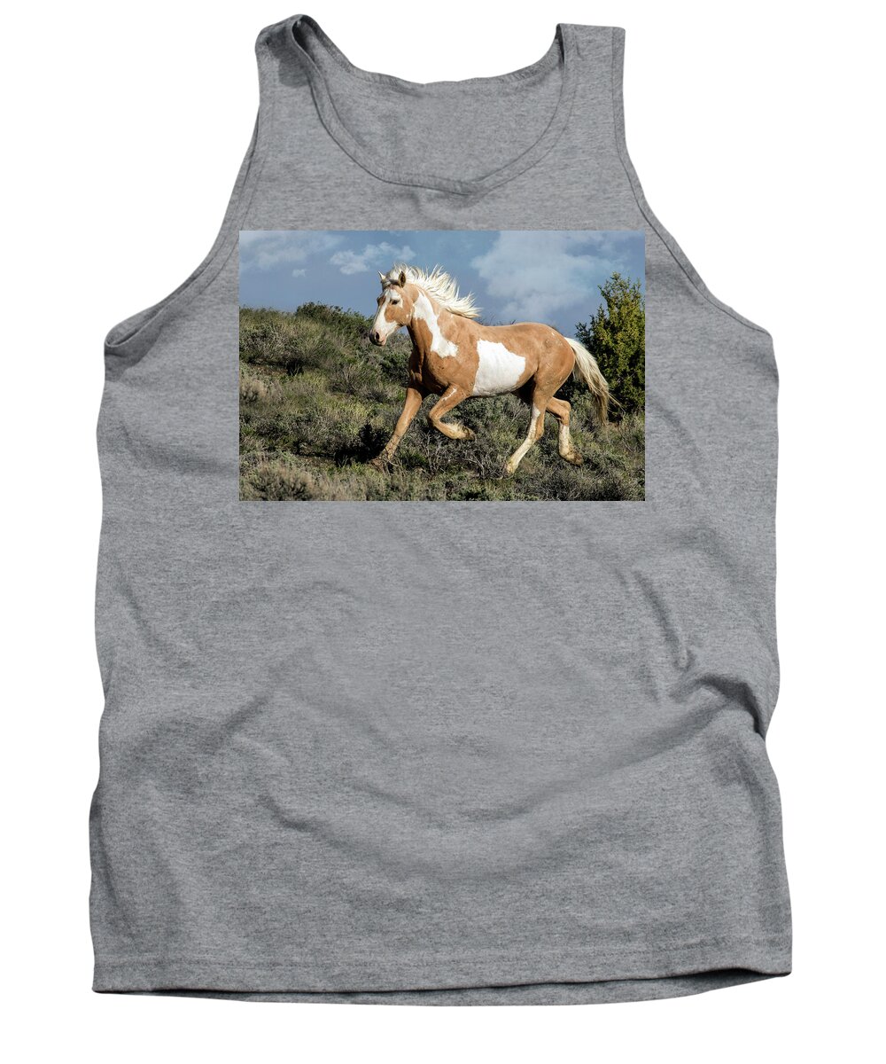 Wild Tank Top featuring the photograph Meteor by Dawn Key