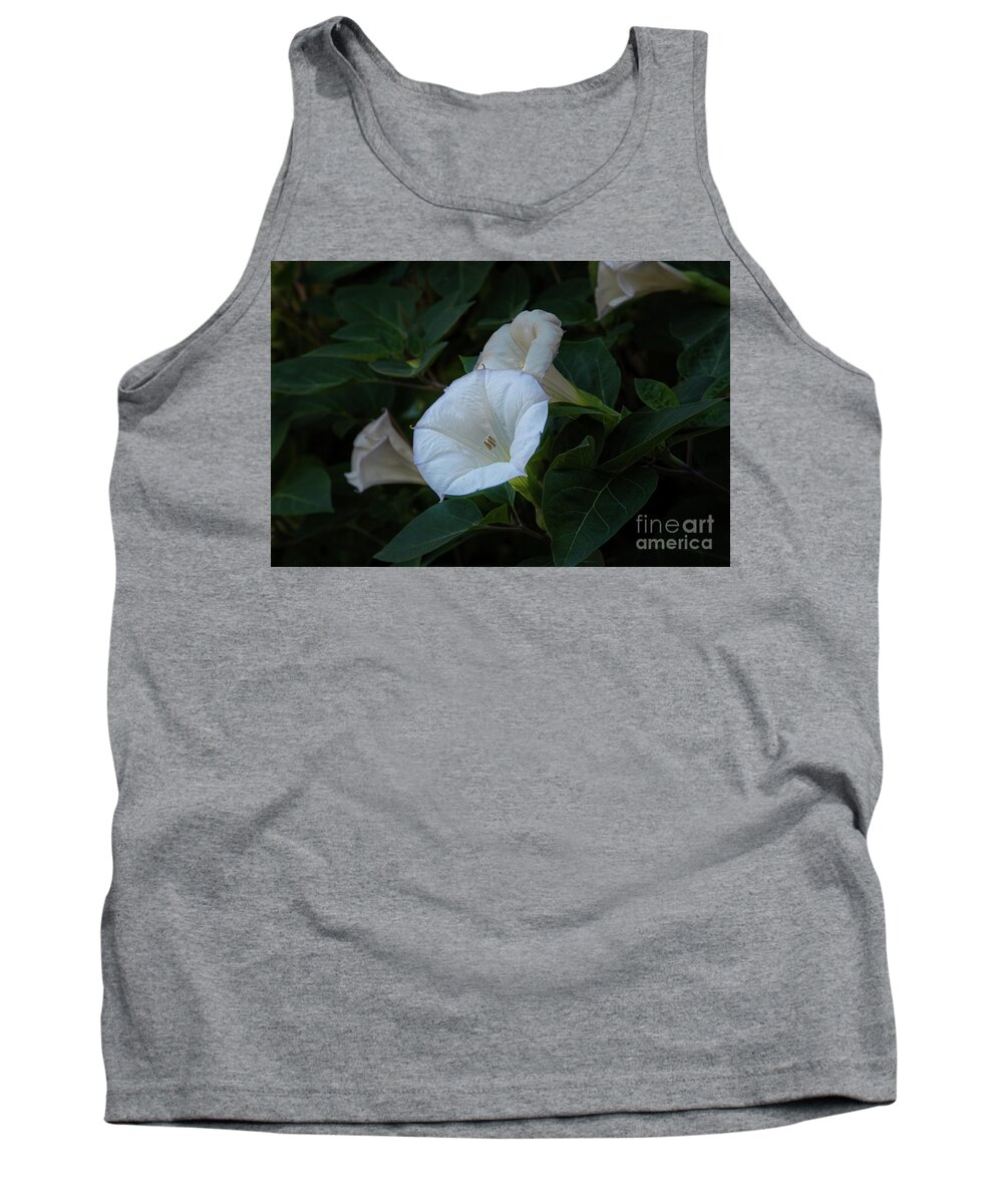 Botanic Gardens Tank Top featuring the photograph Moonlight Flower by Marilyn Cornwell