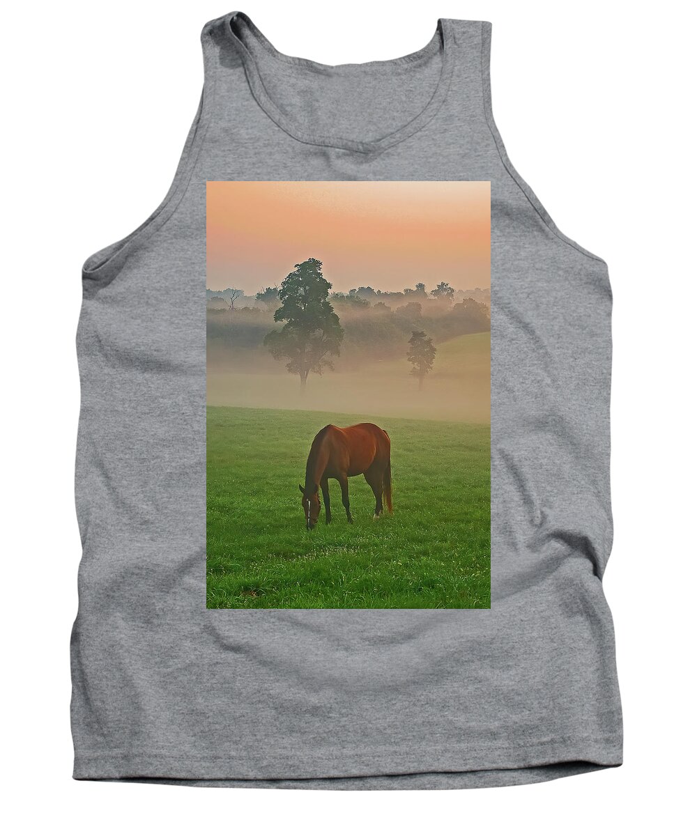 Horses Tank Top featuring the photograph Morning at the pasture. by Ulrich Burkhalter