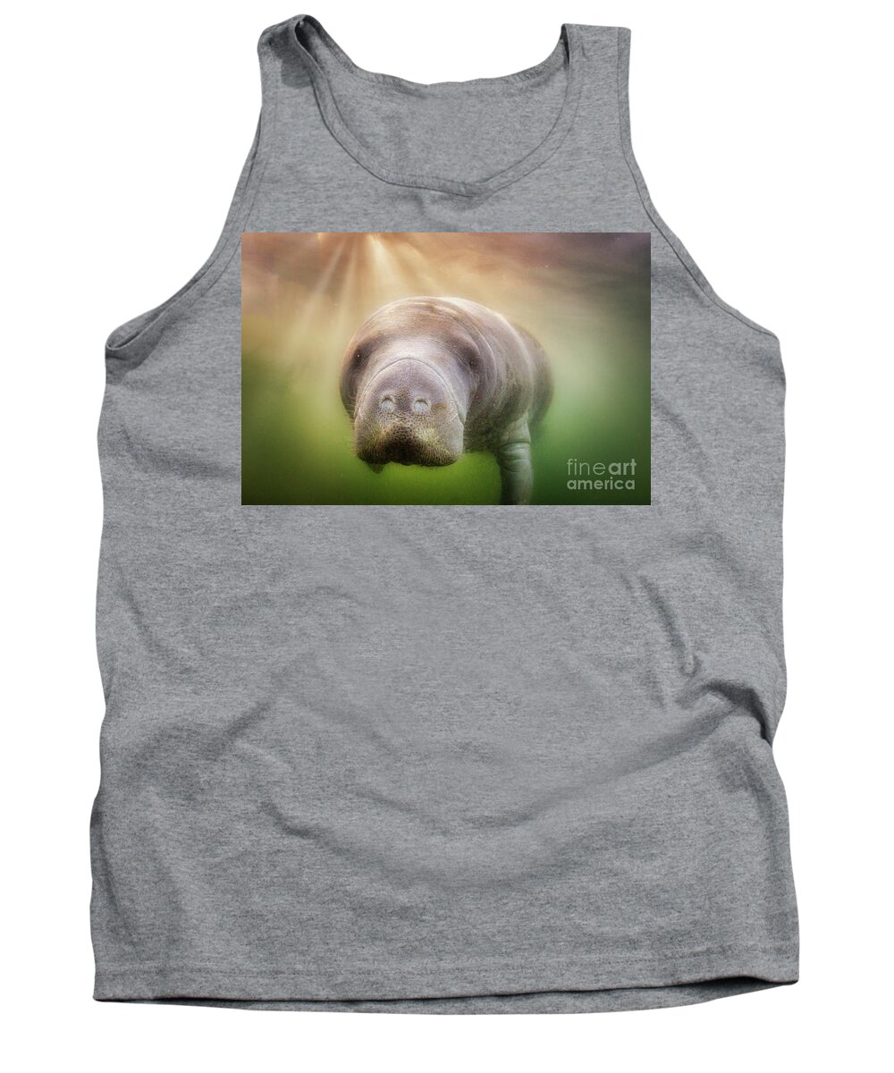 American Manatee Tank Top featuring the photograph Rays Of Hope by John Hartung  ArtThatSmiles com