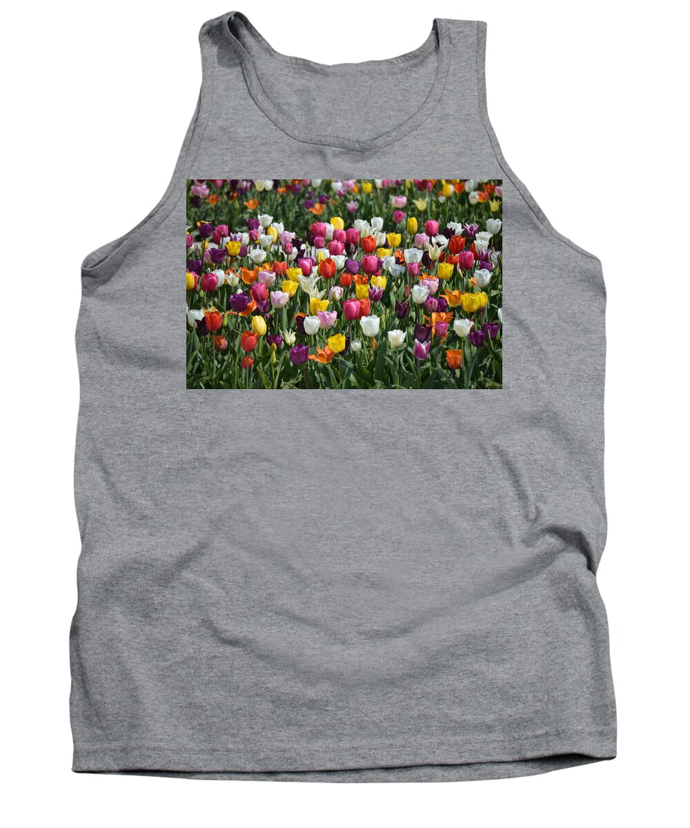 Tulips Tank Top featuring the photograph Motely by Thomas Schroeder