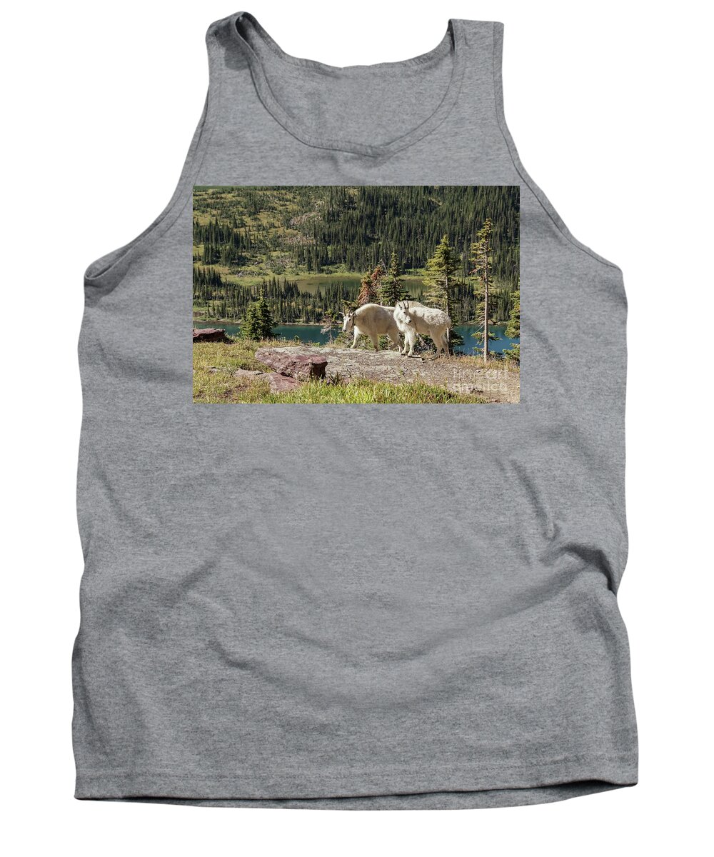 Animal Tank Top featuring the photograph Mountain Goat Pair in Glacier National Park by Nancy Gleason