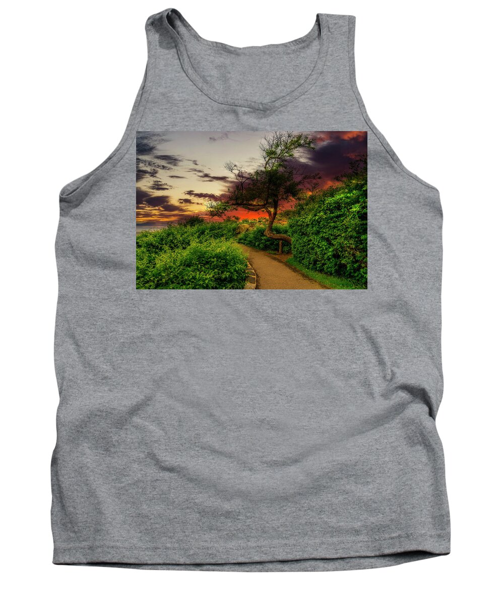 Ogunquit Tank Top featuring the photograph My Favorite Tree by Penny Polakoff