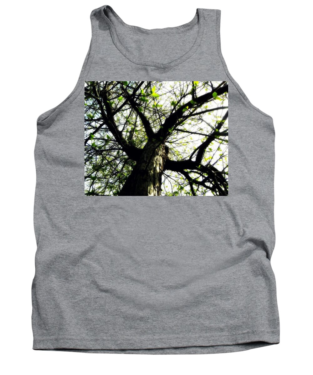 Leaves Tank Top featuring the photograph New Leaves by Amanda R Wright