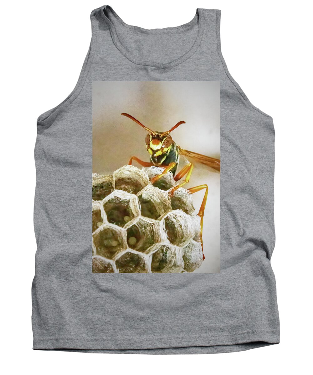 Wasp Tank Top featuring the photograph Northern Paper Wasp by Ira Marcus