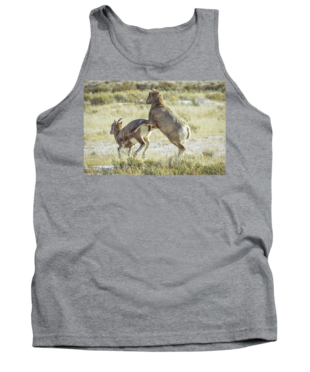 Wildlife Tank Top featuring the photograph Not today I have a headache by Ed Stokes