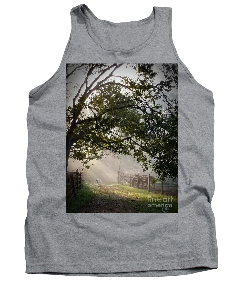 Sunlight Tank Top featuring the photograph Ochee in the morning light by Rabiah Seminole