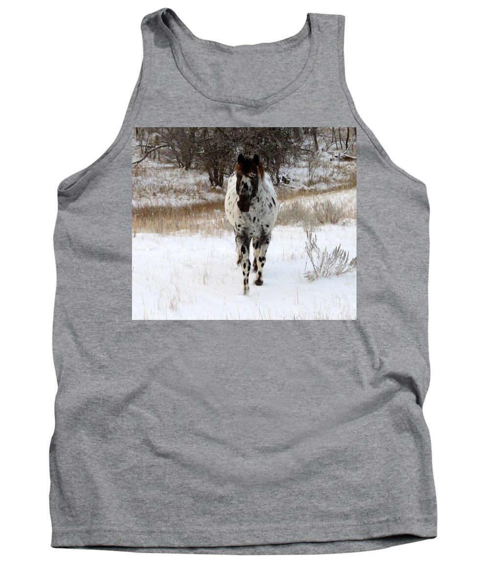 Appaloosa Tank Top featuring the photograph October Snow by Katie Keenan