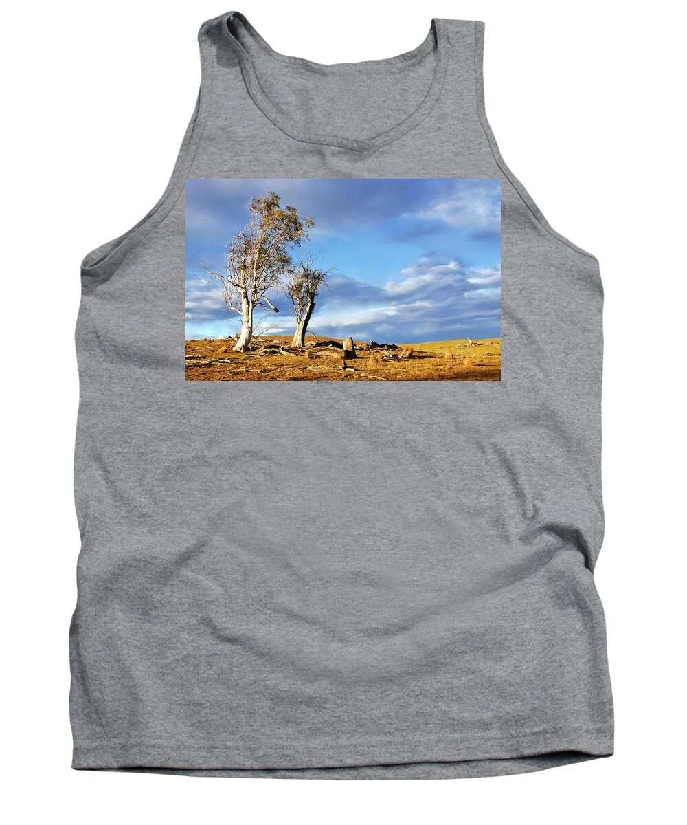 Australian Trees Series By Lexa Harpell Tank Top featuring the photograph On the Road to Cooma by Lexa Harpell