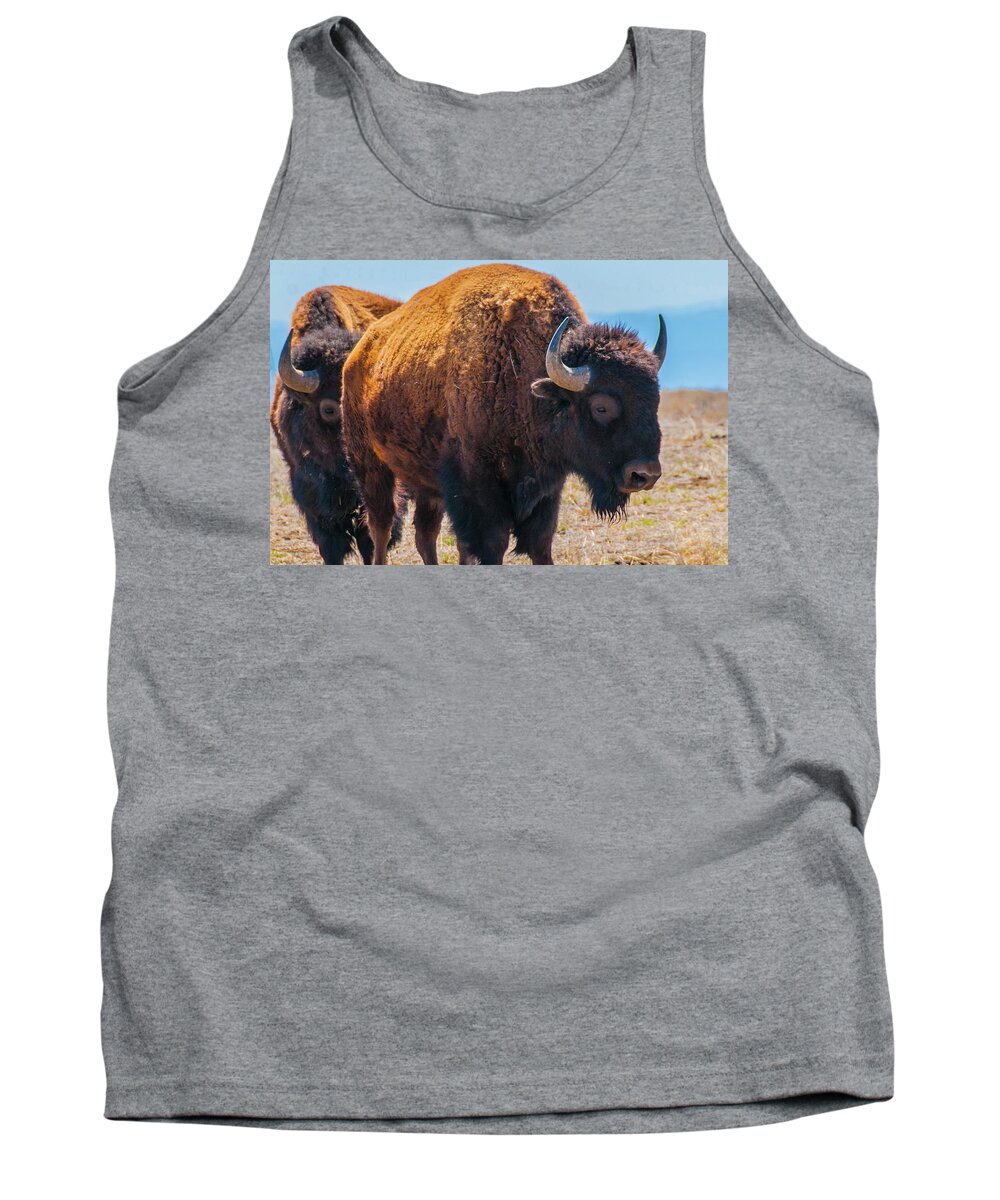 Agriculture Tank Top featuring the photograph Bison in Field in the Daytime by Tom Potter