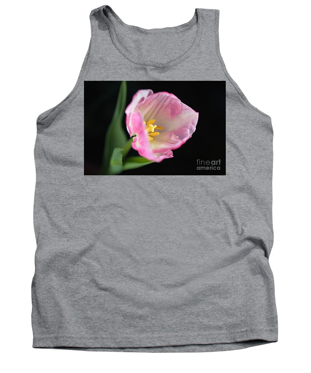 Disambiguation Tank Top featuring the photograph Opening Pink Soft White Tulip by Joy Watson