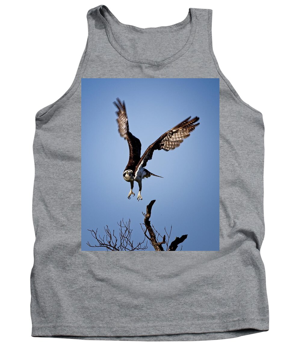 Osprey Tank Top featuring the photograph Osprey headed to Nest by Ronald Lutz