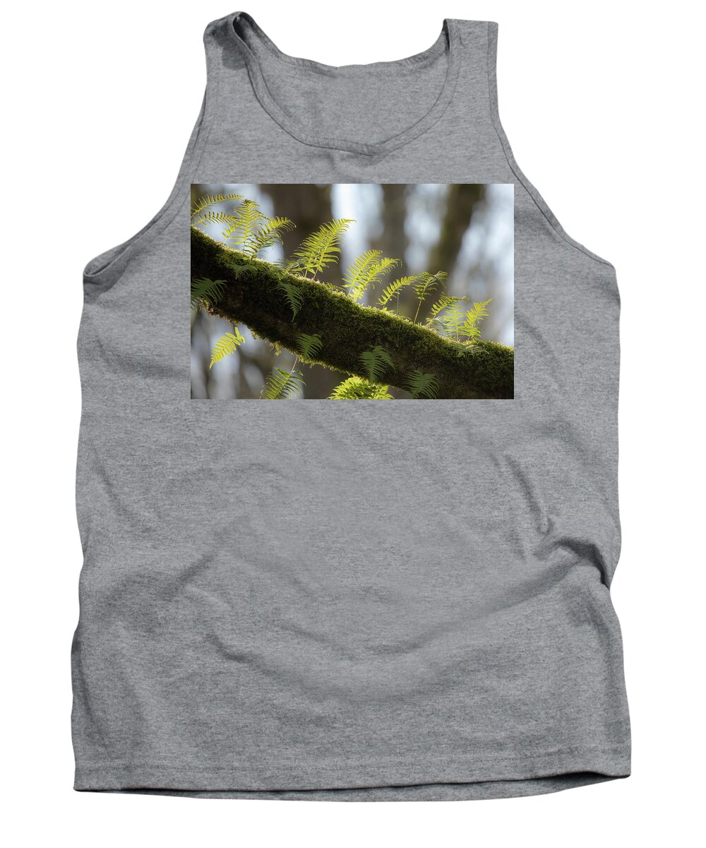Nature Tank Top featuring the photograph Out on a LImb by Bob Cournoyer