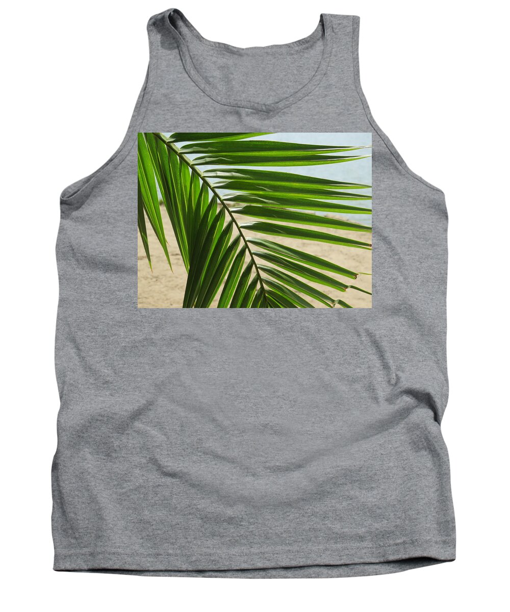 Palm Tank Top featuring the photograph Palm Tree Frond by Raymond Fernandez