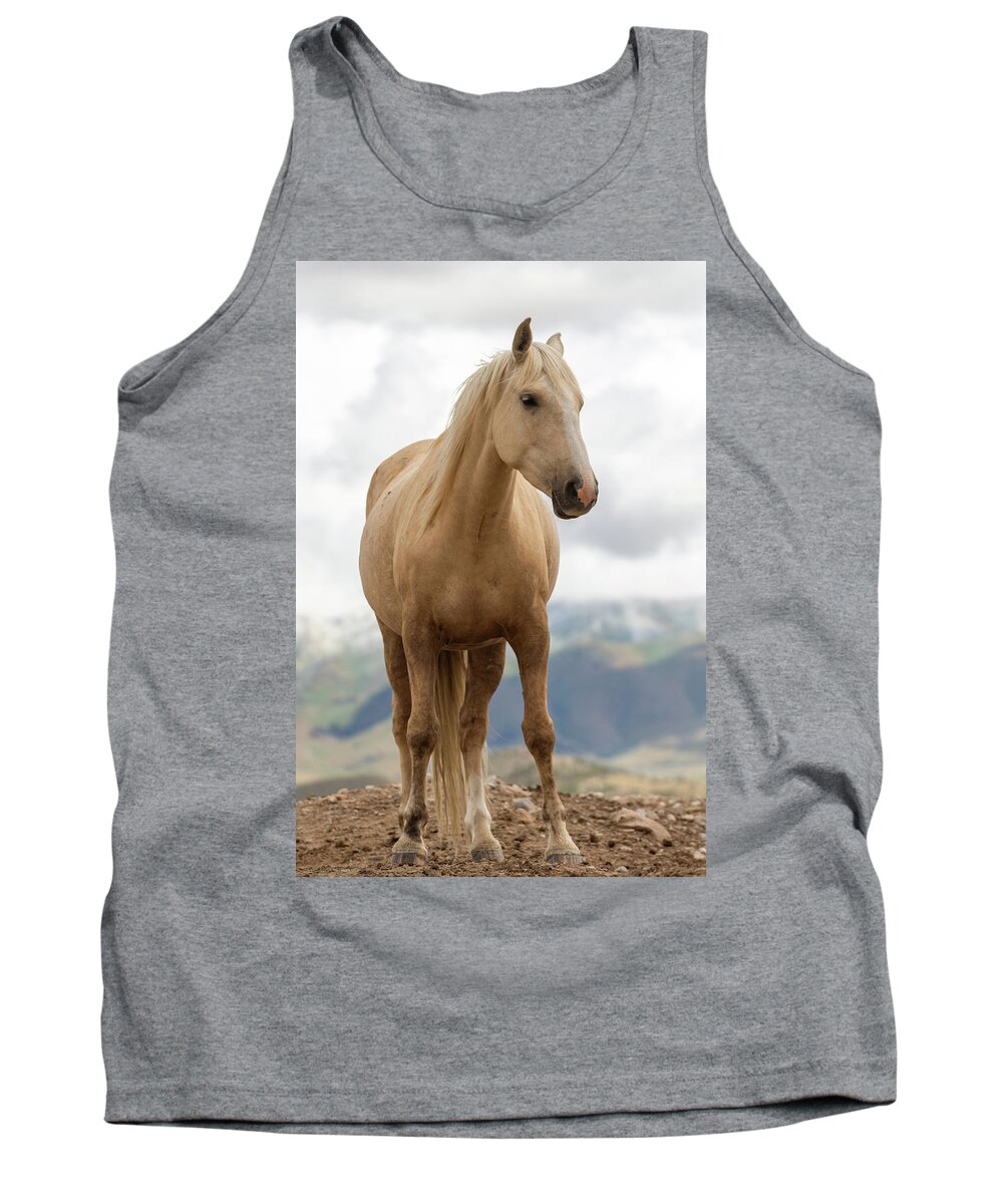 Horses Tank Top featuring the photograph Palomino by Mary Hone