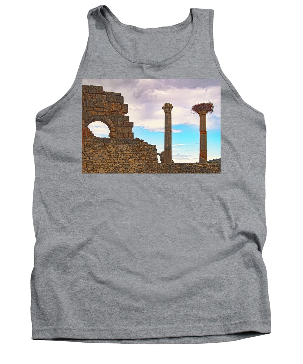 Roman Ruins Tank Top featuring the photograph Perch Among the Ruins by Edward Shmunes