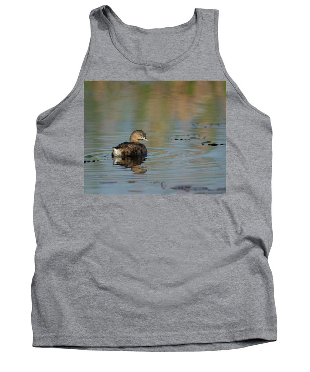Florida Birds Tank Top featuring the photograph Pied-billed Grebe by Maresa Pryor-Luzier