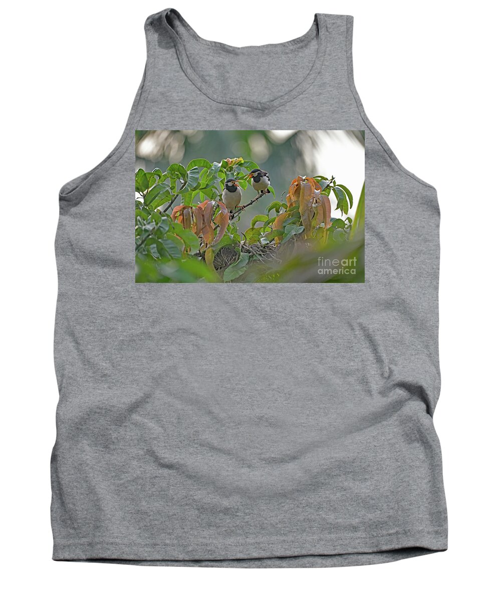 Gracupica Contra Tank Top featuring the photograph Pied Myna Chicks by Amazing Action Photo Video