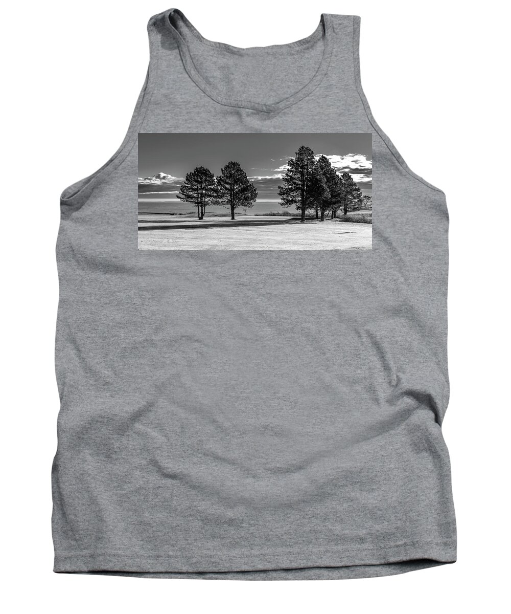 Pine Trees Tank Top featuring the photograph Pines at Samoset by David Lee