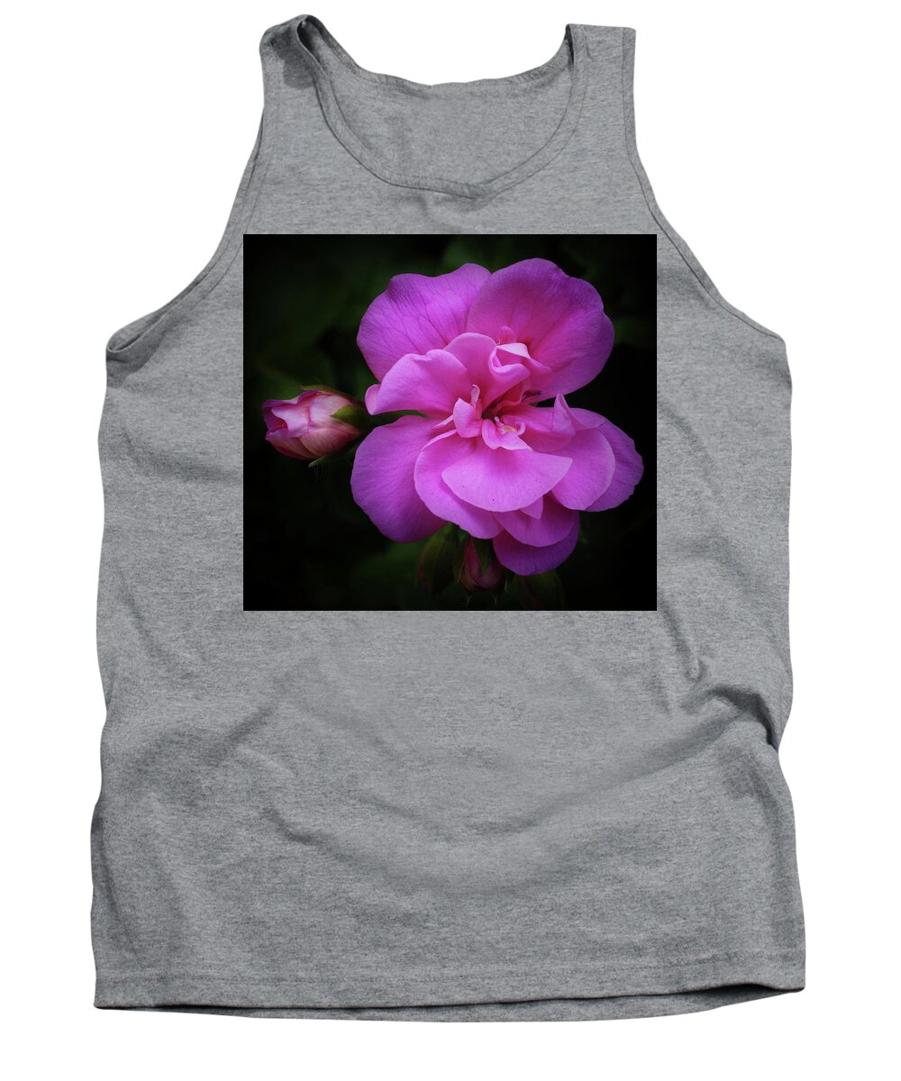 Pink Tank Top featuring the photograph Pink Rose Bloom and Bud Vignetted by James C Richardson