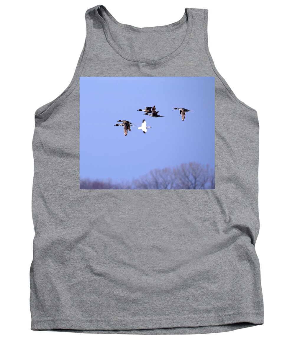 Pintail Tank Top featuring the photograph Pintail Ducks and Snow Goose by Flinn Hackett