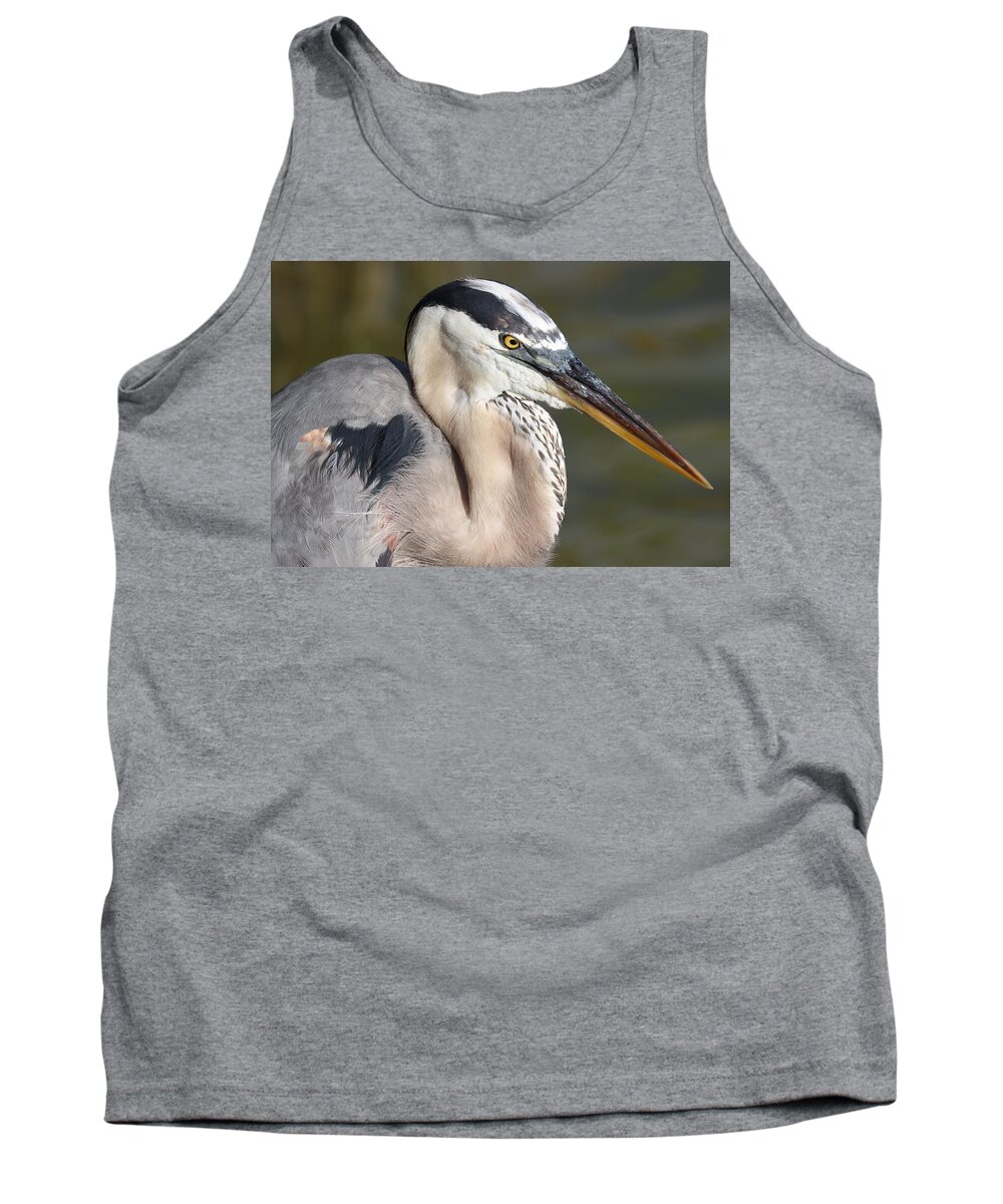 Blue Heron Tank Top featuring the photograph Portrait of a Great Blue Heron by Mingming Jiang