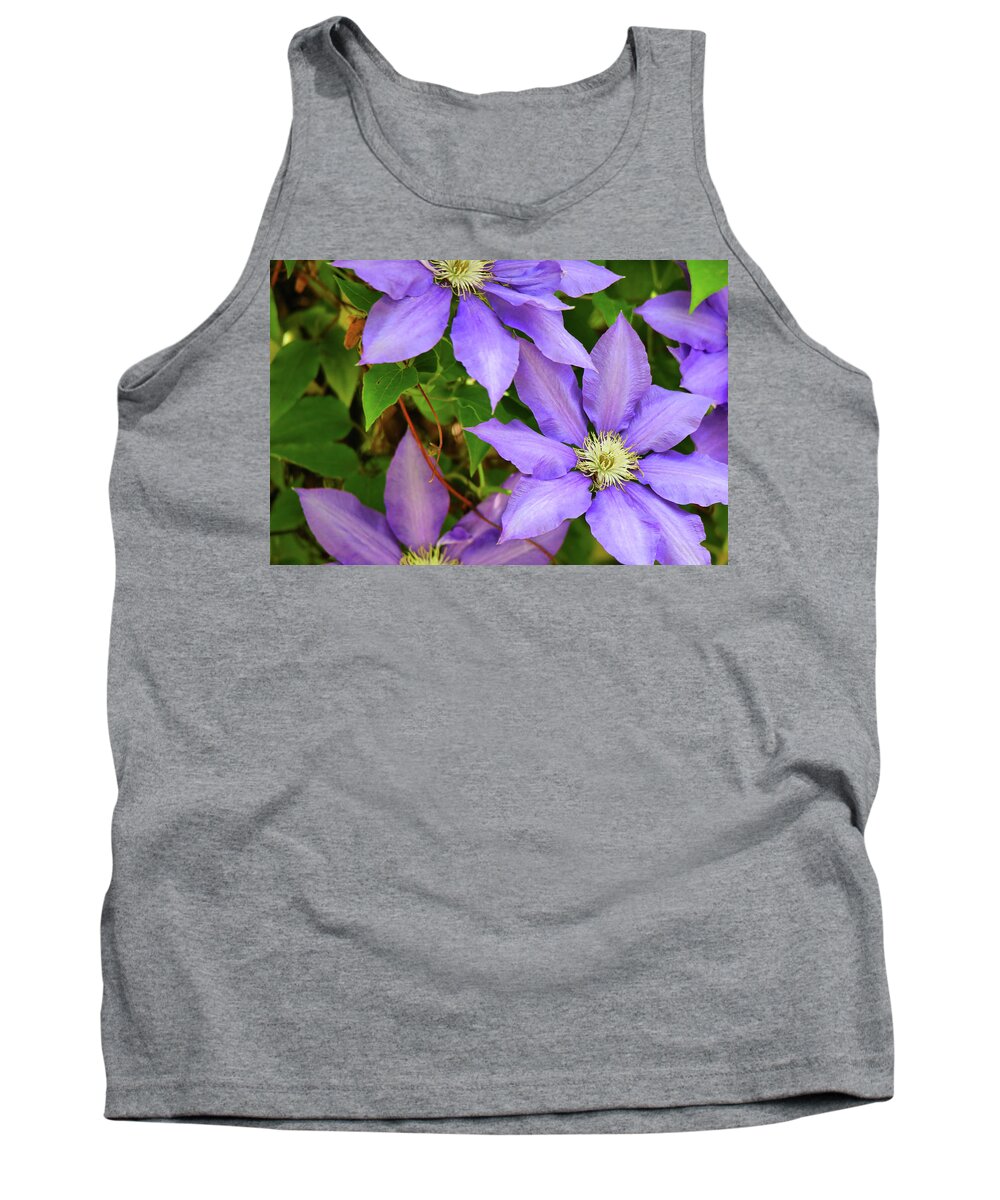 Purple Color Tank Top featuring the photograph Purple Clematis by Scott Burd
